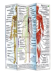 ZooBooKoo Kubusboek Menselijk Lichaam