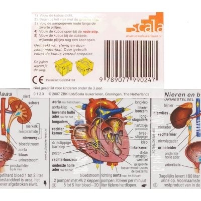 ZooBooKoo Kubusboek Menselijk Lichaam