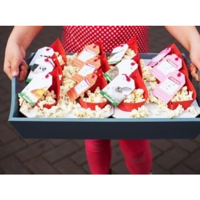 Gezinnig Traktatieklets! 3-6 jaar