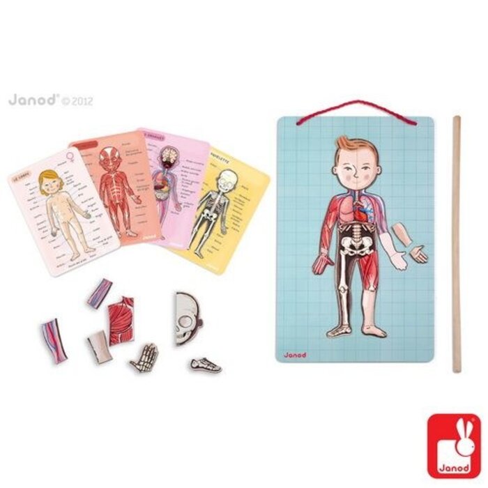 Janod Spel/Puzzel het menselijk lichaam