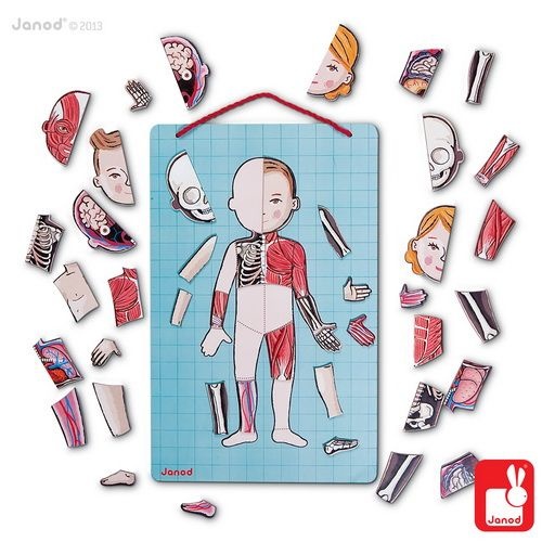 Janod Spel/Puzzel het menselijk lichaam
