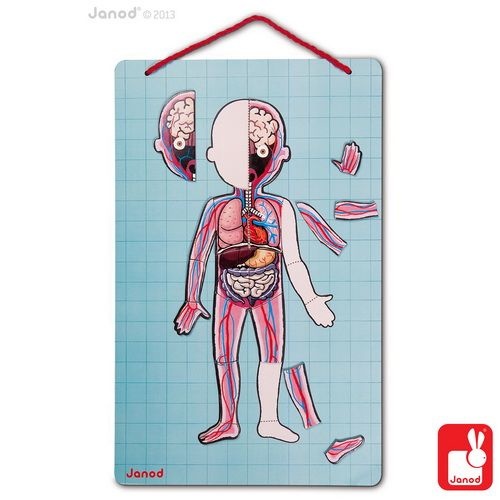 Janod Spel/Puzzel het menselijk lichaam