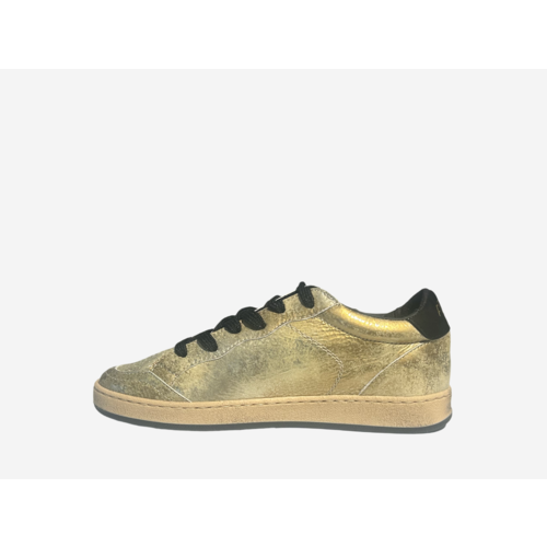 AMA Brand de Luxe AMA Brand Sun 4379