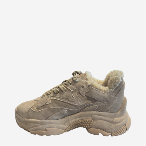 ASH ASH Addictbifur2