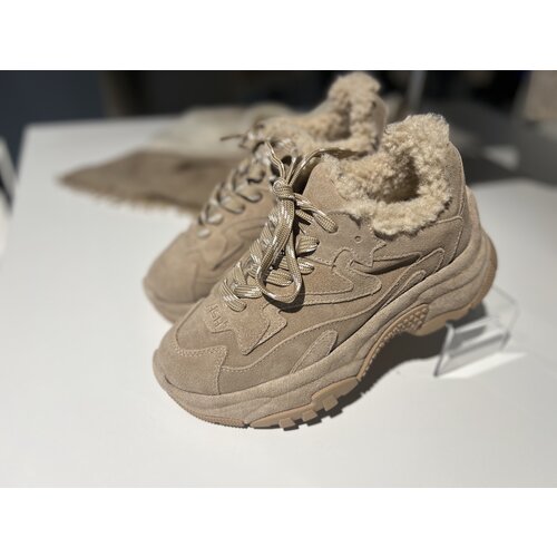 ASH ASH Addictbifur2