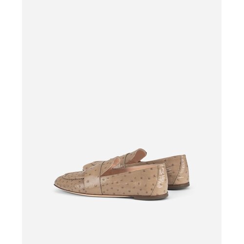 AGL AGL Marienne3  Nandu