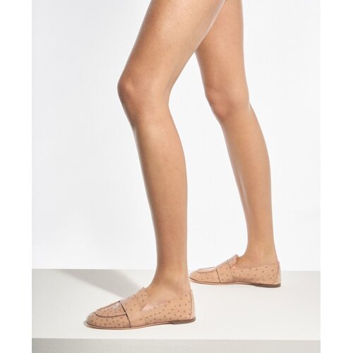 AGL AGL Marienne3  Nandu