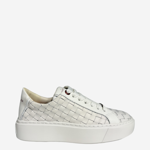 Alexander Smith Alexander Smith 8412 W