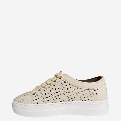 Stokton STOKTON 122−001−AXX−D0−P