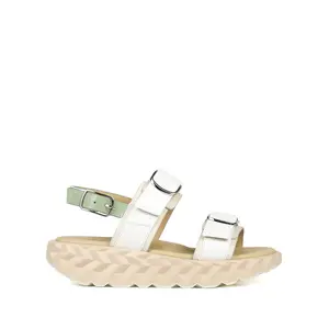 4ccccees 4cccces Jabara SW