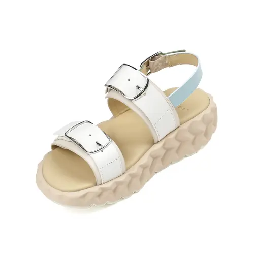 4ccccees 4cccces Jabara SW