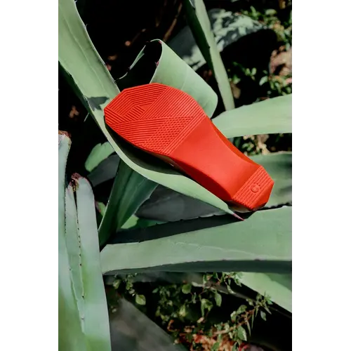 4ccccees 4cccces Follin