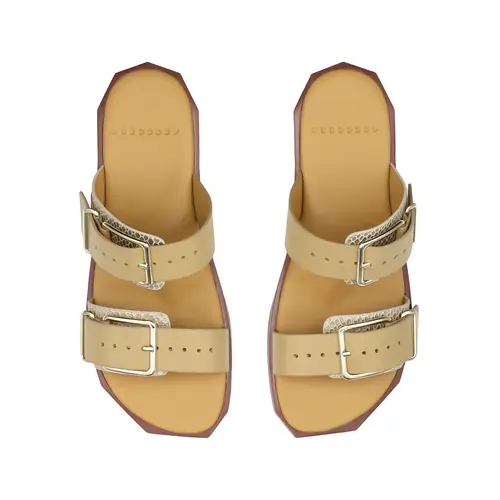 4ccccees 4cccces Follin