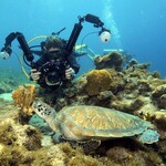 Onderwaterfotografie