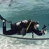 PADI PADI Peak Performance Buoyancy Specialty PADI PADI Peak Performance Buoyancy Specialty