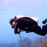 PADI TEC 40 PADI TEC 40