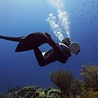 PADI TEC 50, de bekroning PADI TEC 50, de bekroning