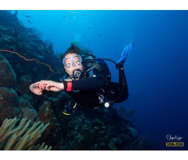 PADI professional worden