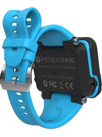 Shearwater Peregrine band