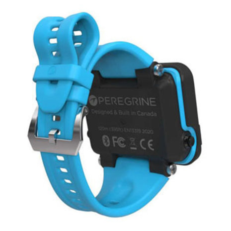 Shearwater Peregrine band