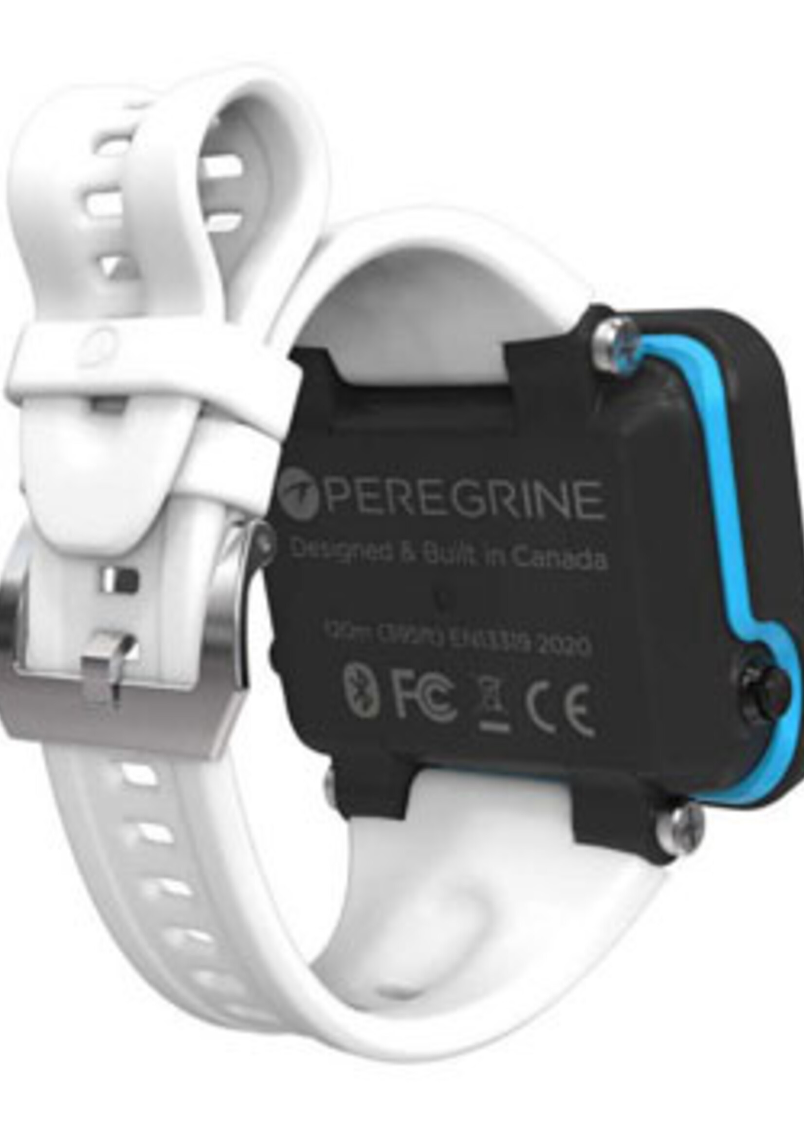 Shearwater Peregrine band