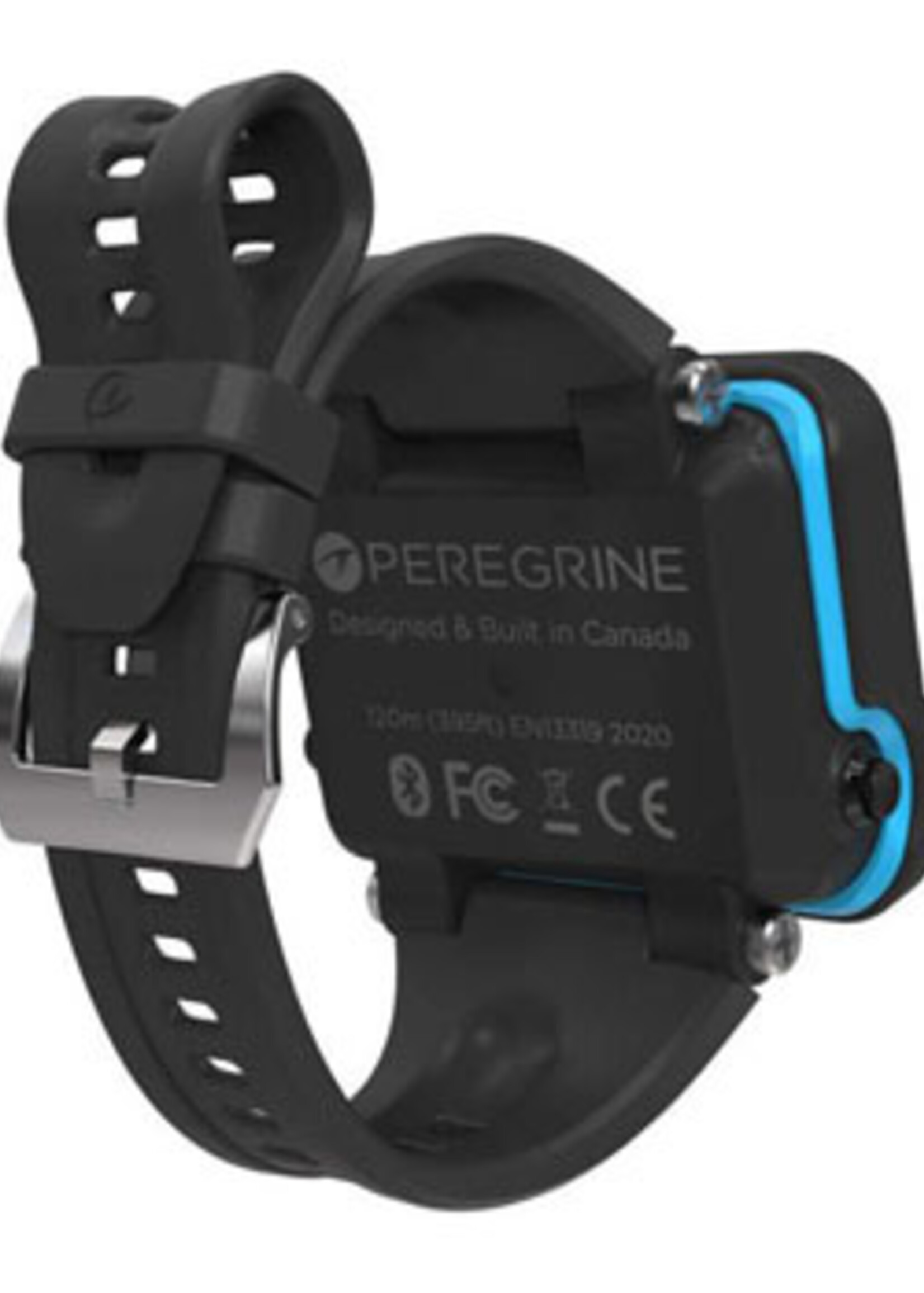 Shearwater Peregrine band