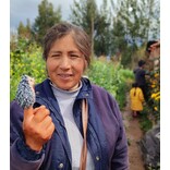 Vingerpoppen bos-dieren, assorti