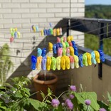 Clothes pin, little foot , assorted colours