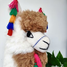 Llama large