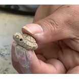 Geluksdiertje mini, aardewerk, assorti