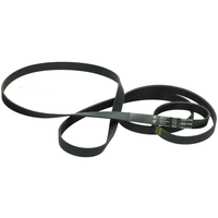 Poly-V-snaar 1830 H8 TEM