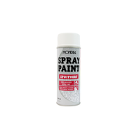 SPRAY PAINT RAL 9010 MAT WIT