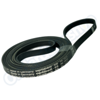 8032766006691 Poly-V-snaar 1975 H5