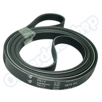 Poly-V-snaar 1975 H7