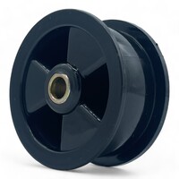 Fixem Spanrol geschikt voor Aeg, Electrlux 1250125034 Kunststof breed - as 8mm - 1Stuk