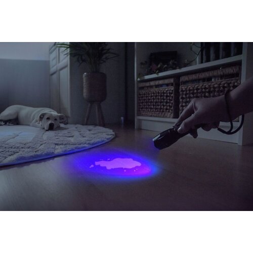 ANSMANN Action 400 UV Zaklamp - 100 Lumen - 395-400 nm UV-licht - Traploos Focus - 4 Lichtstanden - Gripvast - 8 tot 27 uur gebruikstijd ANSMANN Action 400 UV Zaklamp - 100 Lumen - 395-400 nm UV-licht - Traploos Focus - 4 Lichtstanden - Gripvast - 8 tot 27 uur gebruikstijd