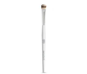 Raysistant Eyeshadow Brush