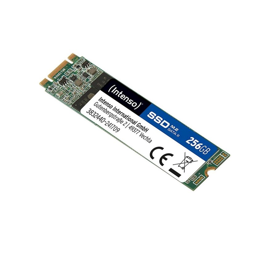 Top Performance | 256GB SATA SSD | M.2 | 520MB/s Lezen | 400MB/s Schrijven