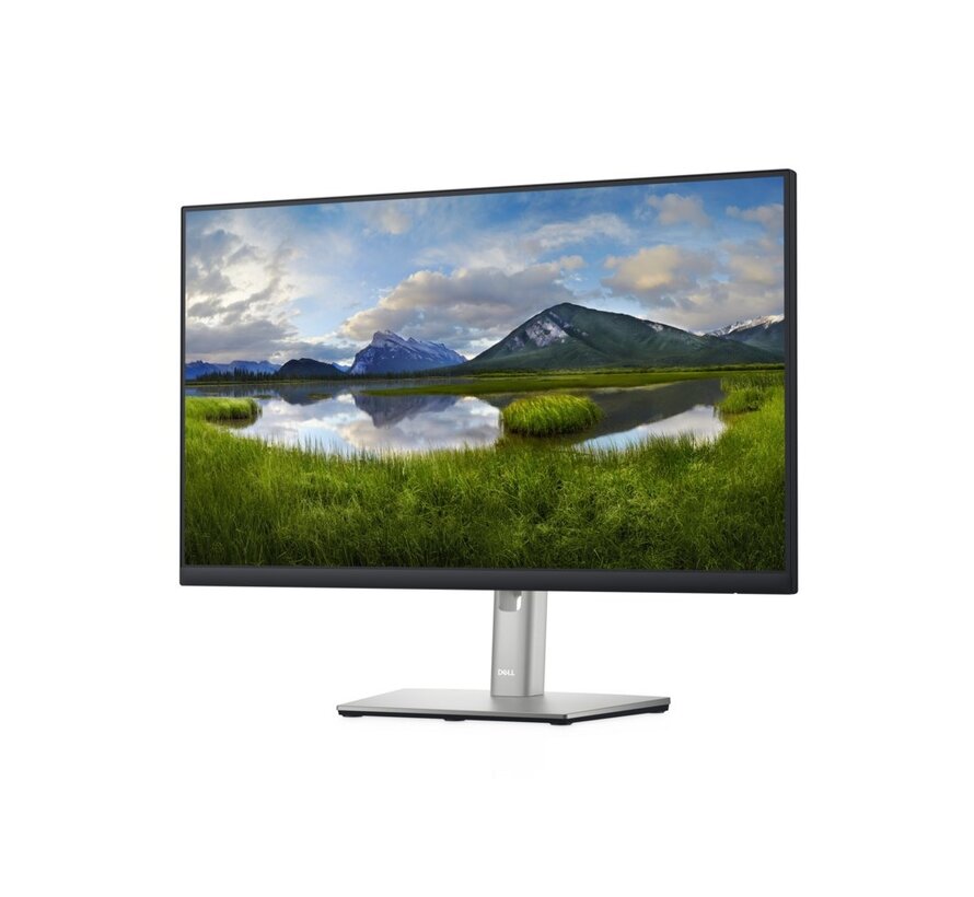 DELL P Series 24 monitor - P2422H