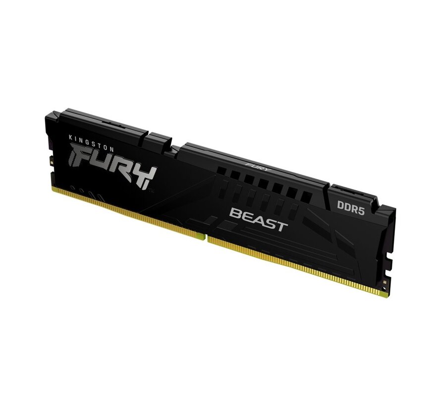 Fury Beast | 1x16GB DDR5 | 5600MHz | DIMM | CL36 | Geheugenmodule | RAM