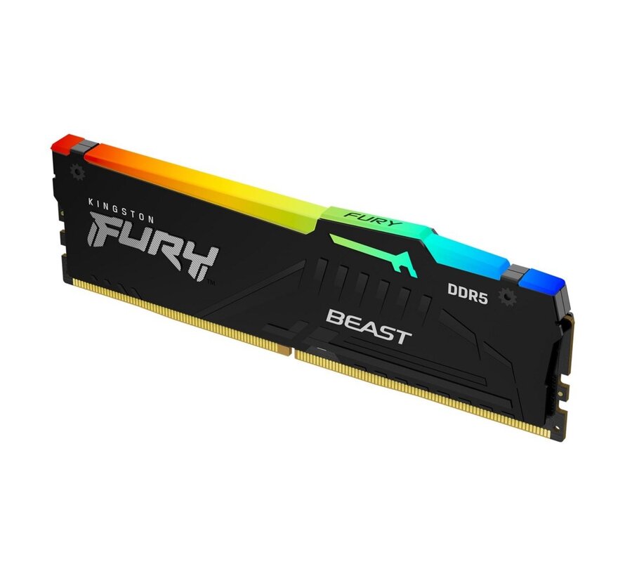 Fury Beast | 1x16GB DDR5 | 5600MHz | DIMM | CL36 | Geheugenmodule | RAM