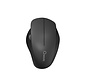 QWARE Wireless Mouse Luton Zwart