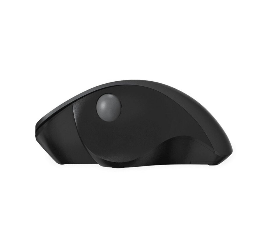 QWARE Wireless Mouse Luton Zwart