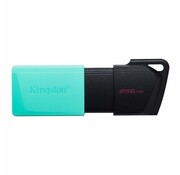 Kingston Technology DataTraveler Exodia M USB flash drive 256 GB USB Type-A 3.2 Gen 1 (3.1 Gen 1) Zwart, Turkoois