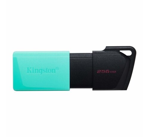 Kingston Technology DataTraveler Exodia M USB flash drive 256 GB USB Type-A 3.2 Gen 1 (3.1 Gen 1) Zwart, Turkoois