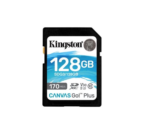 Kingston Technology Canvas Go! Plus 128 GB SD UHS-I Klasse 10