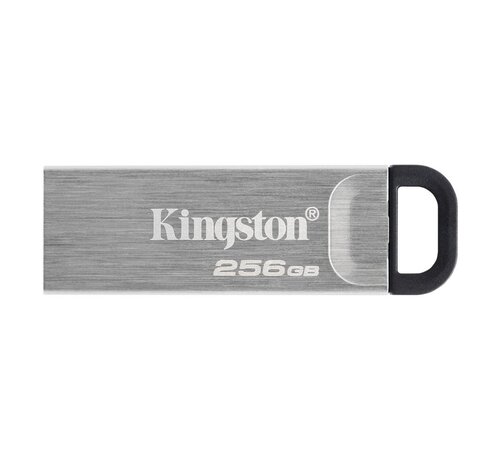 Kingston Technology DataTraveler Kyson USB flash drive 256 GB USB Type-A 3.2 Gen 1 (3.1 Gen 1) Zilver