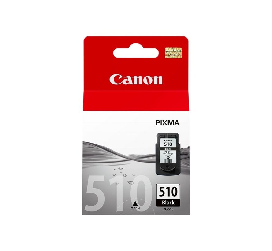 2970B001 | Originele Foto Zwarte Inktcartridge
