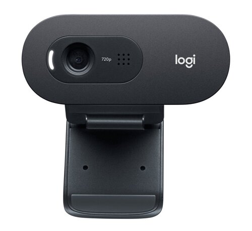 Logitech C505e webcam 1280 x 720 Pixels USB Zwart