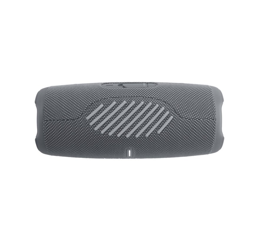Flip 6 | 30 Watt Portable Bluetooth Speaker | Grijs